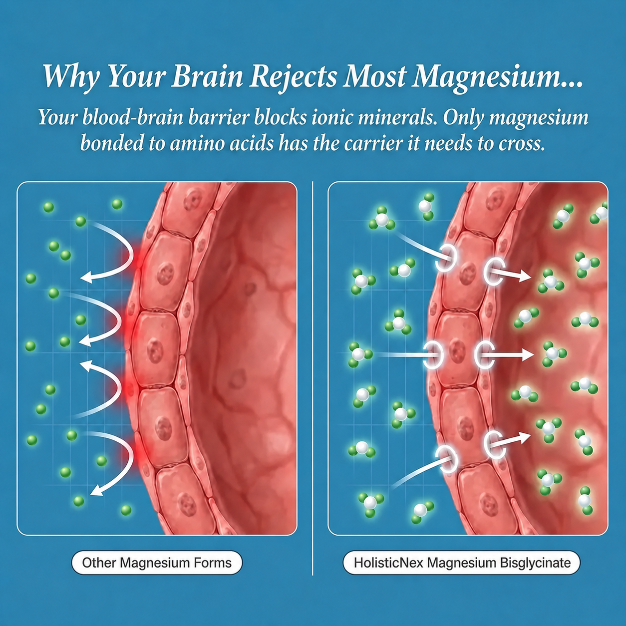 Magnesium Bisglycinate Gummies