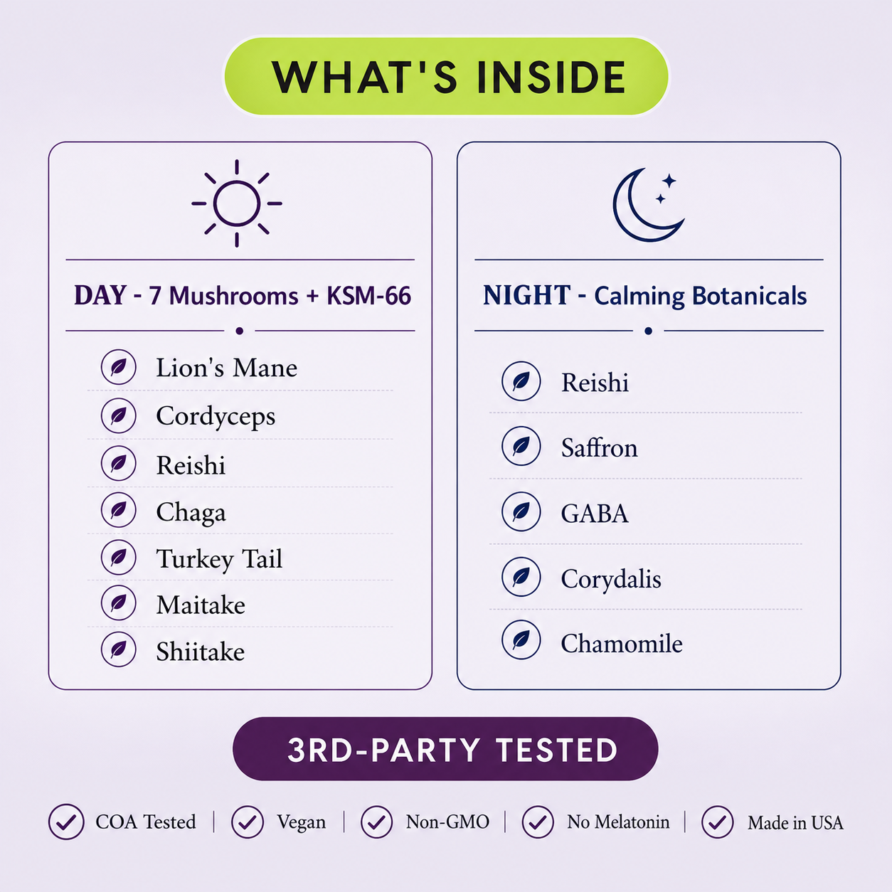 Day + Night Protocol — 7-Mushroom + Sleep