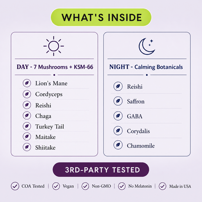 Day + Night Protocol — 7-Mushroom + Sleep