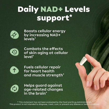 NAD+ Nicotinamide  Riboside