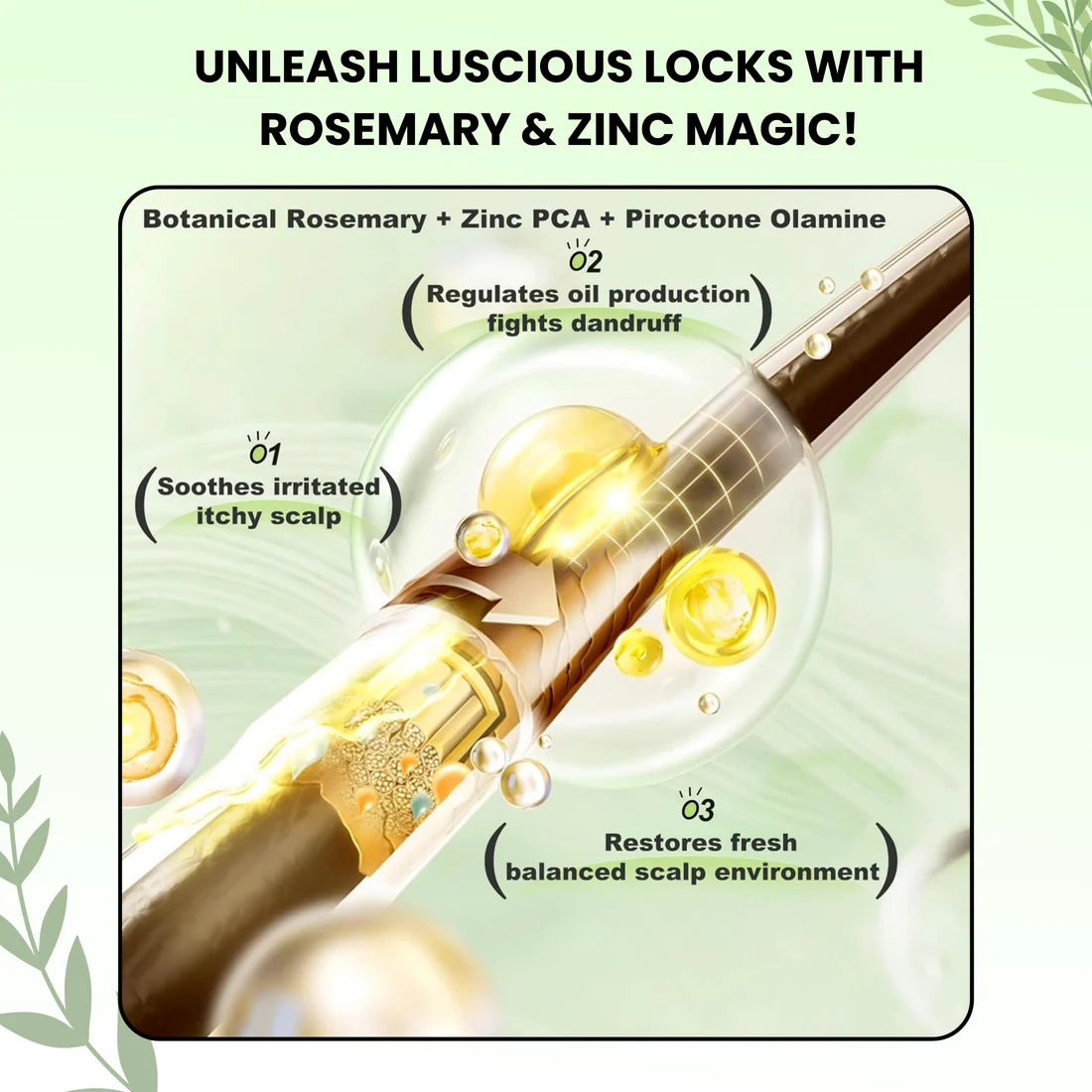 Tgideas® Rosemary Amino Acid Shampoo – Volumizing, Anti-Hair Loss & Oil Control